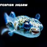 G2M Puffer Fish Jigsaw