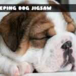 G2M Sleeping Dog Jigsaw