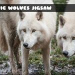 G2M Artic Wolves Jigsaw
