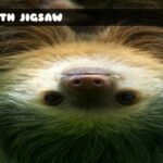 G2M Sloth Jigsaw