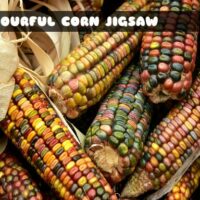 G2M Colourful Corn Jigsaw
