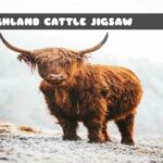 G2M Highland Cattle Jigsaw