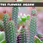 G2M Cactus Flowers Jigsaw