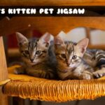 G2M Cats Kitten Pet Jigsaw