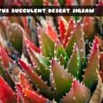 G2M Cactus Succulent Desert Jigsaw