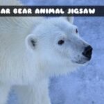 G2M Polar Bear Animal Jigsaw