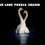 G2M Swan Lake puzzle Jigsaw