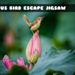 G2M Lotus Bird Escape Jigsaw