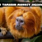 G2M Lion Tamarin Monkey Jigsaw