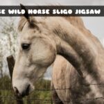 G2M Horse Wild Horse Sligo Jigsaw