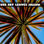 G2M Nature Sky Leaves Jigsaw