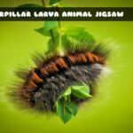 G2M Caterpillar Larva Animal Jigsaw