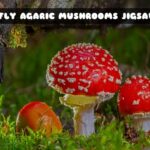 G2M Red Fly Agaric Mushrooms Jigsaw