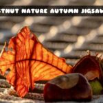 G2M Chestnut Nature Autumn Jigsaw