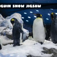 G2M Penguin Snow Jigsaw