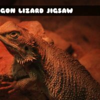 G2M Dragon Lizard Jigsaw