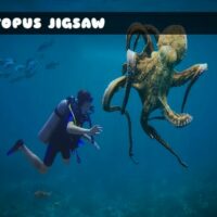 G2M Octopus Jigsaw