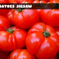 G2M Tomatoes Jigsaw
