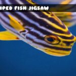 G2M Striped Fish Jigsaw