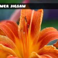 G2M Flower Jigsaw