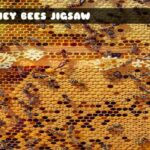 G2M Honey Bees Jigsaw