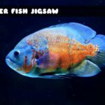 G2M Tiger Fish Jigsaw