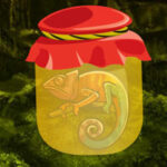 BIG-Rainbow Chameleon Forest Escape HTML5