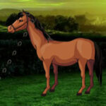 G2R-Rescue The Arabian Horse HTML5