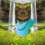 WOW-Rescue The Friends Birds HTML5