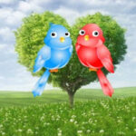 WOW-Rescue The Love Birds HTML5