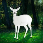 WOW-Rescue The Wild White Deer HTML5