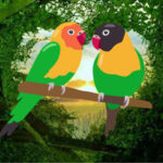 G2R-Romantic Parrots Escape