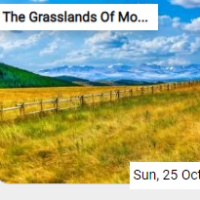 The Grasslands Of Montana…