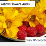 Yellow Flowers And Raspberries Jigsaw