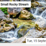 Small Rocky Stream Jigsaw