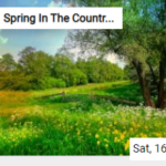 The Spring In Countryside Jigsaw