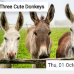 Three Cute Donkeys Jigsaw