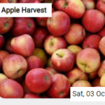 Apple Harvest Jigsaw