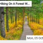 Hiking On A Forest Wooden Trail Jigsaw