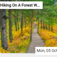 The Hiking On A Forest Wooden Trail Jigsaw