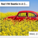 Red VW Beetle In A Canola Field Jigsaw