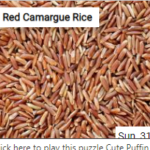 Red Camargue Rice Jigsaw