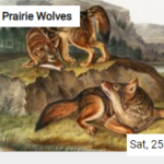 Prairie Wolves Jigsaw