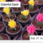 Colorful Cacti Jigsaw