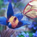 Butterfly On A Blue Flower Jigsaw Puzzle Game