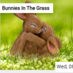 Bunnies In The Grass Jigsaw