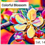 Colorful Blossom Jigsaw