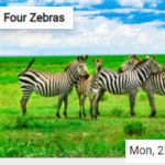 Four Zebras Jigsaw