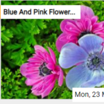 The Blue And Pink Flowers Jigsaw