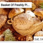 Basket Of Freshly Picked Mushrooms Jigsaw